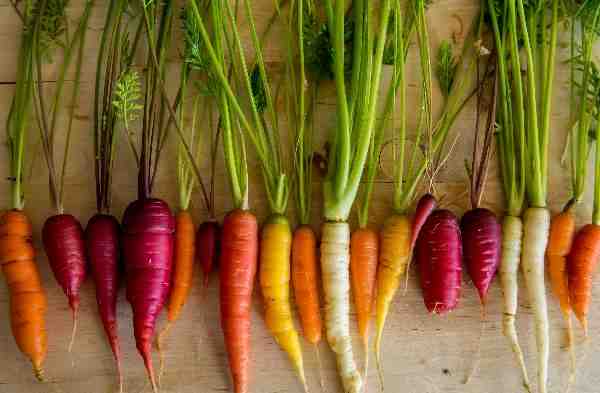 typesofcarrots
